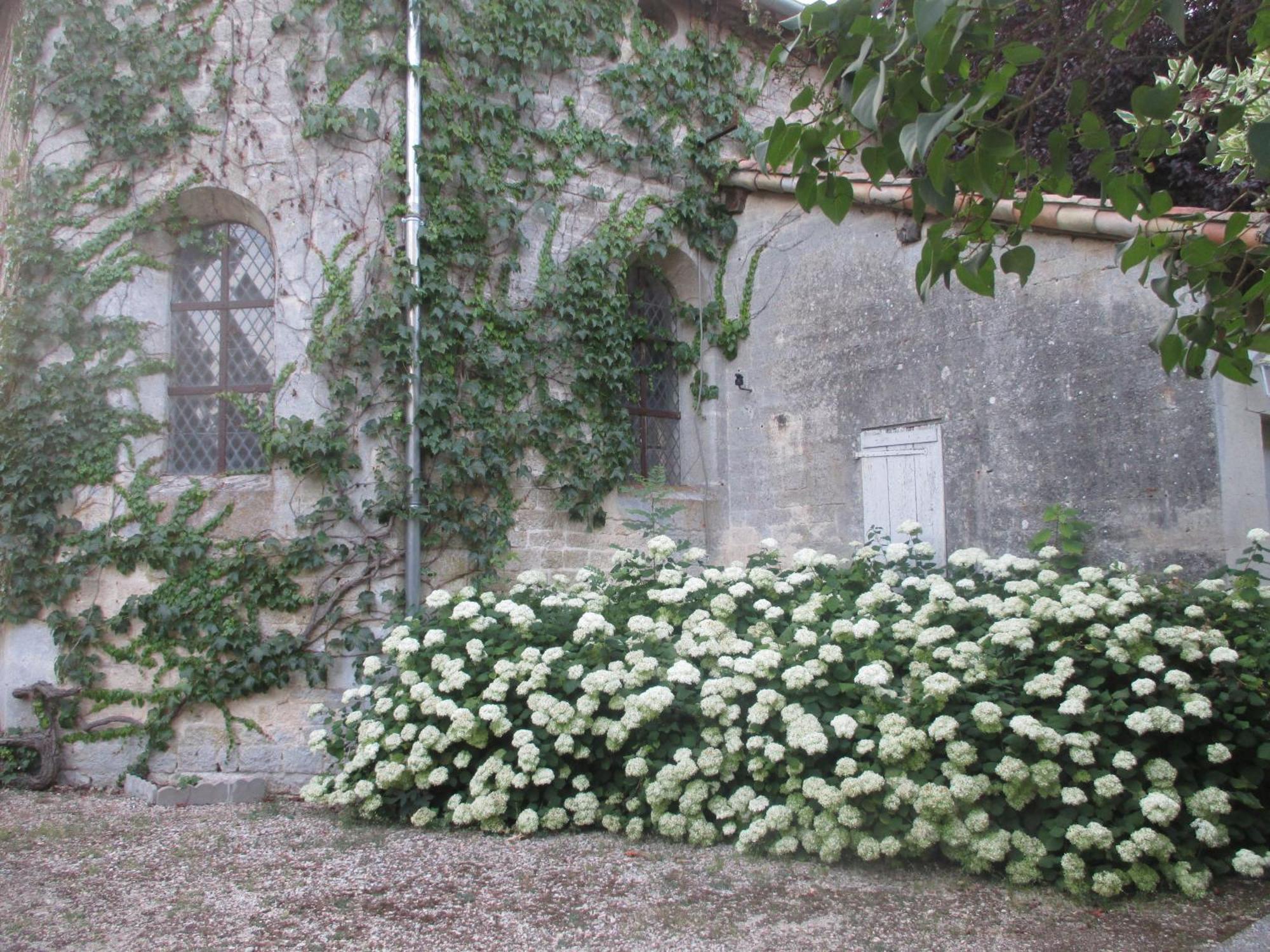 Chateau Des Monthairons Hotel Restaurant Gastromaison Spa Privatif レ・モントエロン エクステリア 写真